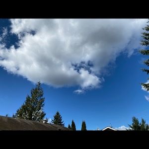 Meet your Posher, Yang